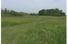 Lake County, Indiana farmland - LAND AUCTION - 147+/- ACRES OFFERED IN 3 TRACTS IN LAKE COUNTY, INDIANA